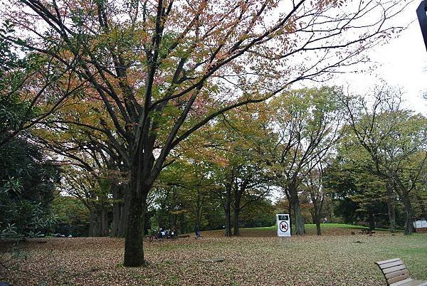 2015_1122BB.JPG