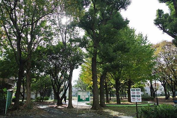 2015_1124AL.JPG