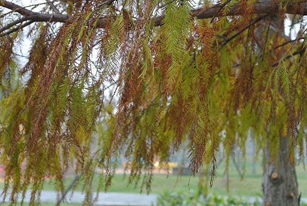 2016_0105BI.JPG