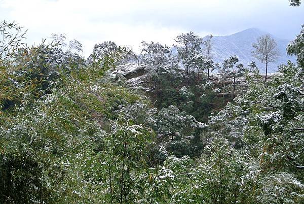 2016_0124AG.JPG