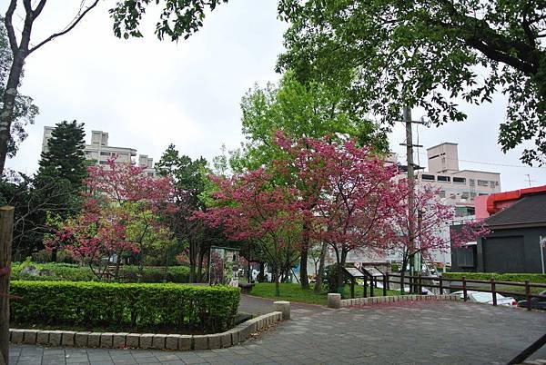 2016_0309FV.JPG