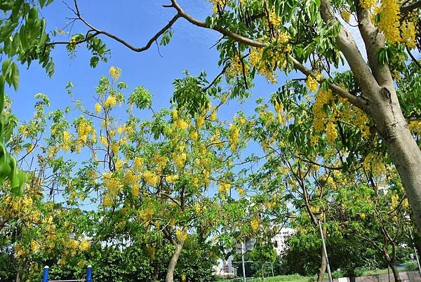 2016_0601JI.JPG