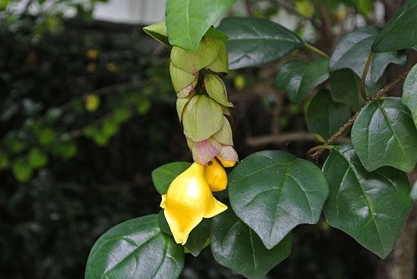 2016_0722BO.JPG