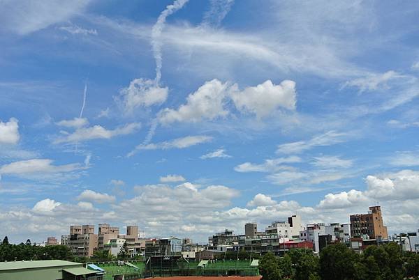 DSC_6569.JPG