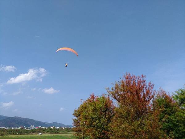 20170805_107.jpg