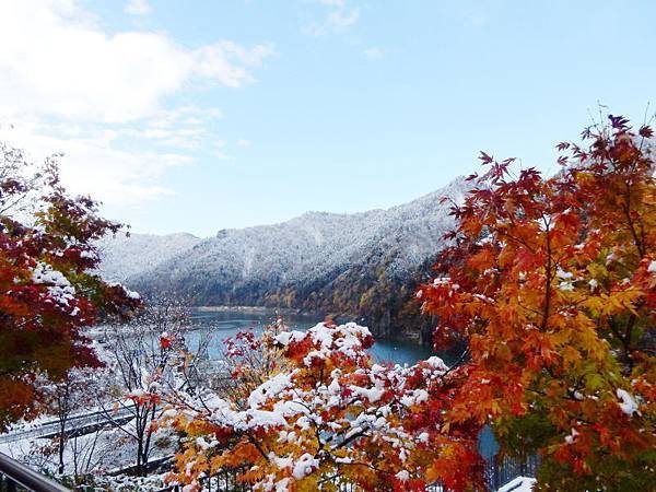20171018_043.jpg