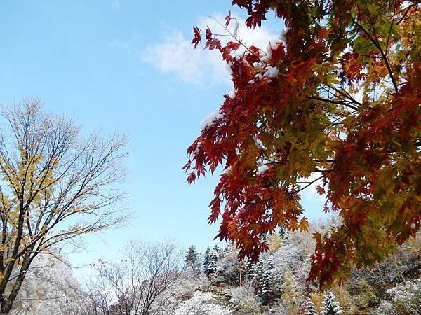 20171018_119.jpg