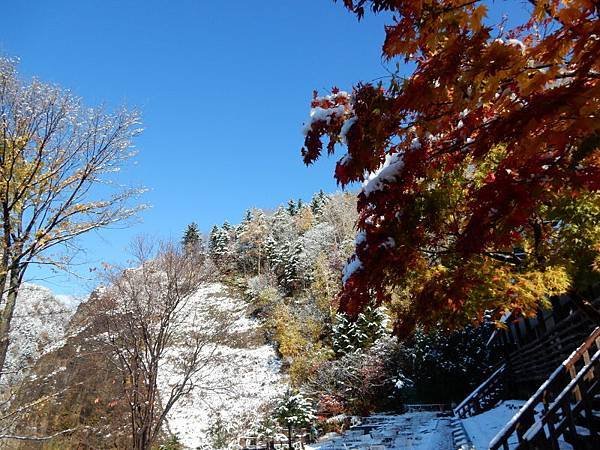 20171018_194.jpg