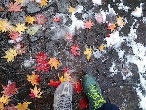 20171018_360.jpg