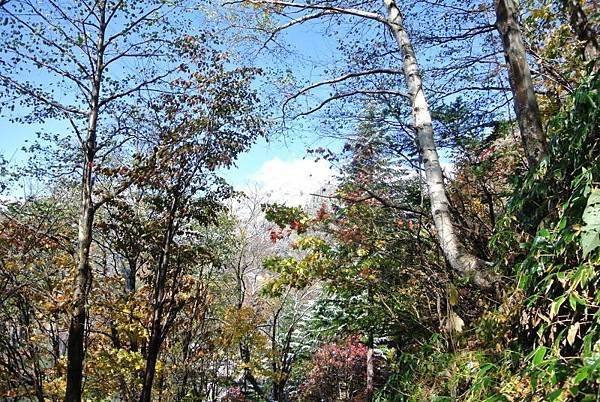 20171018_152.jpg