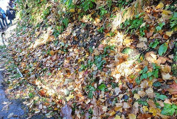 20171018_159.jpg