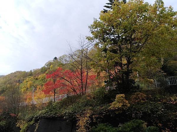 20171017_138.jpg