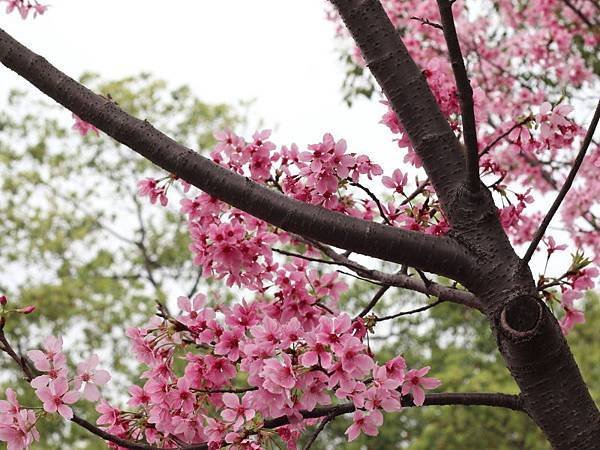 20180319_074.jpg