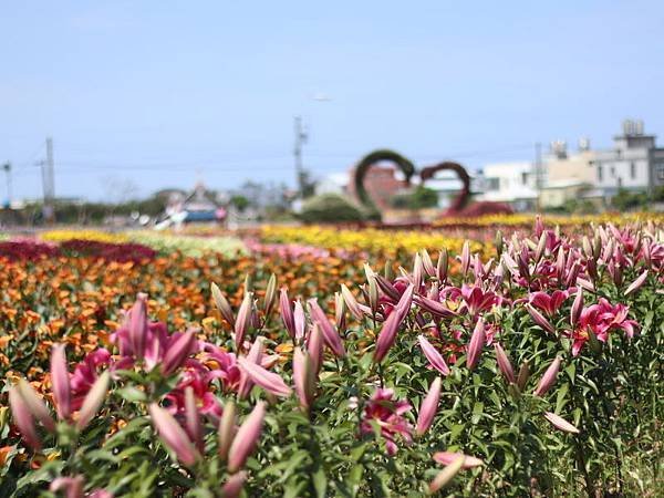20180329_072.jpg