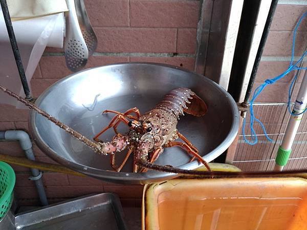 20180810_046.jpg