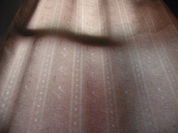 DSCN1548