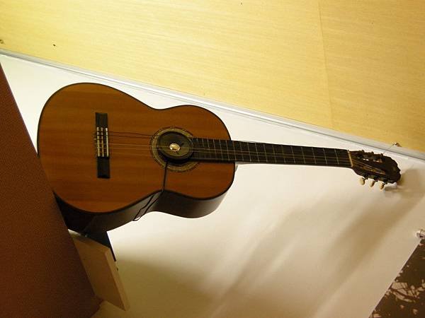 DSCN9973