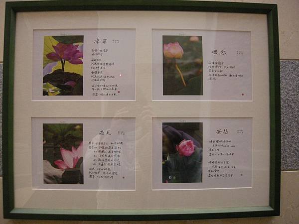 DSCN9995