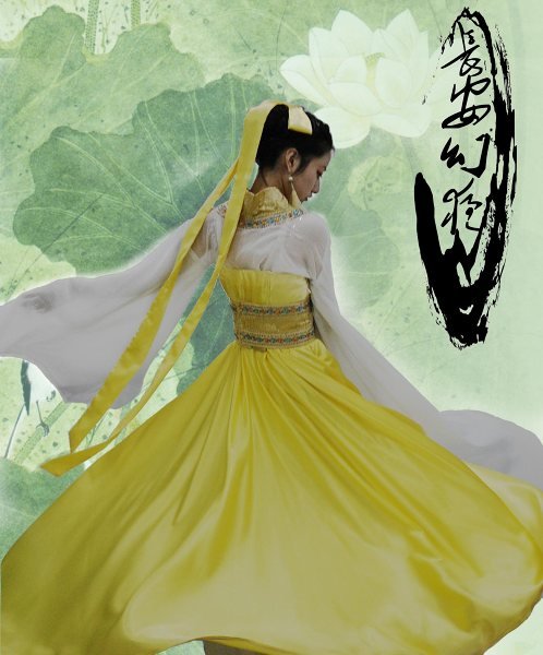 顾飞琼2