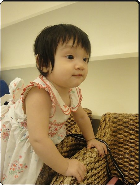 DSC07142.jpg