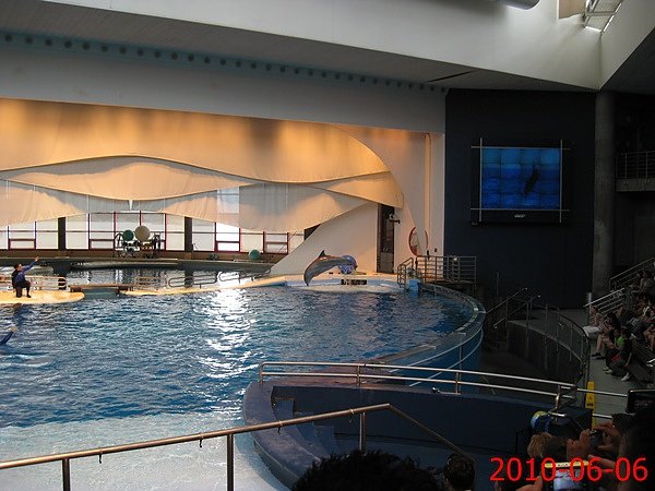IMG_2901.JPG