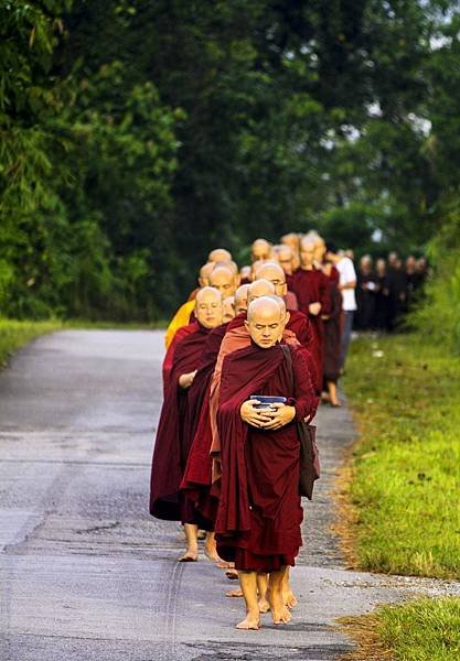 sangha-in-line-1735231_1920.jpg