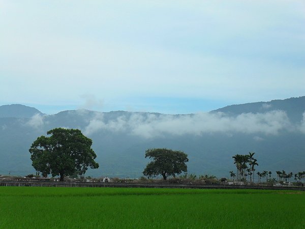 SDC14168.JPG