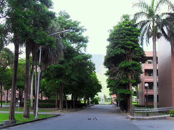 SDC14607.JPG