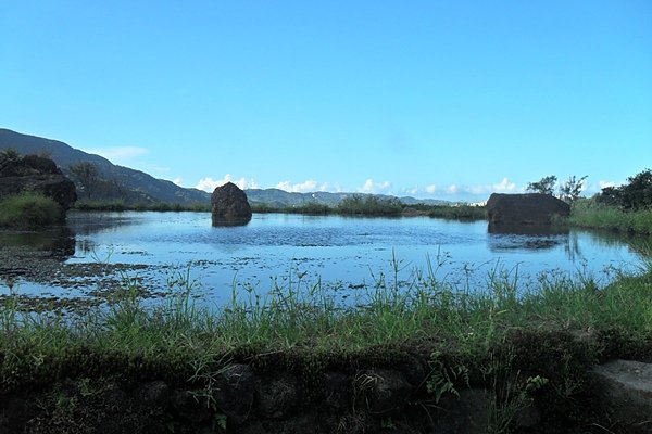 SDC15186.JPG