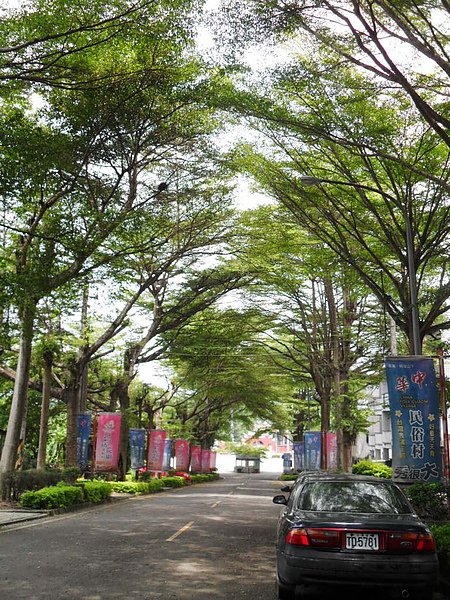 SDC13790.jpg