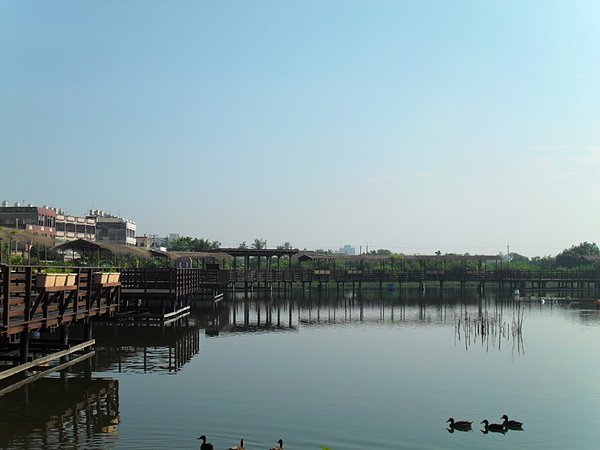 SDC13948.JPG
