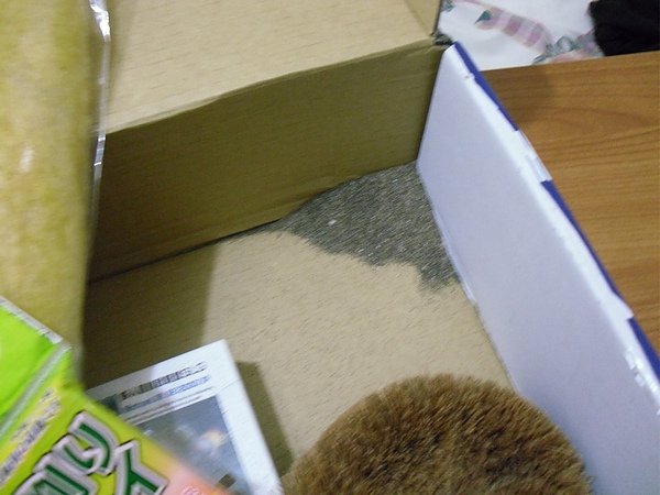 SDC10834.JPG