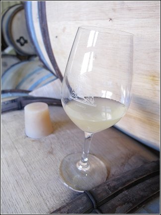 Chablis D7 3.jpg