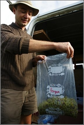 Chablis D3 2.jpg