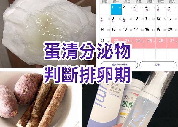 子宮頸黏液蛋清分泌物判斷排卵做功課舒咪潤滑液