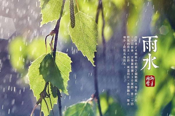 2017雨水圖.jpg