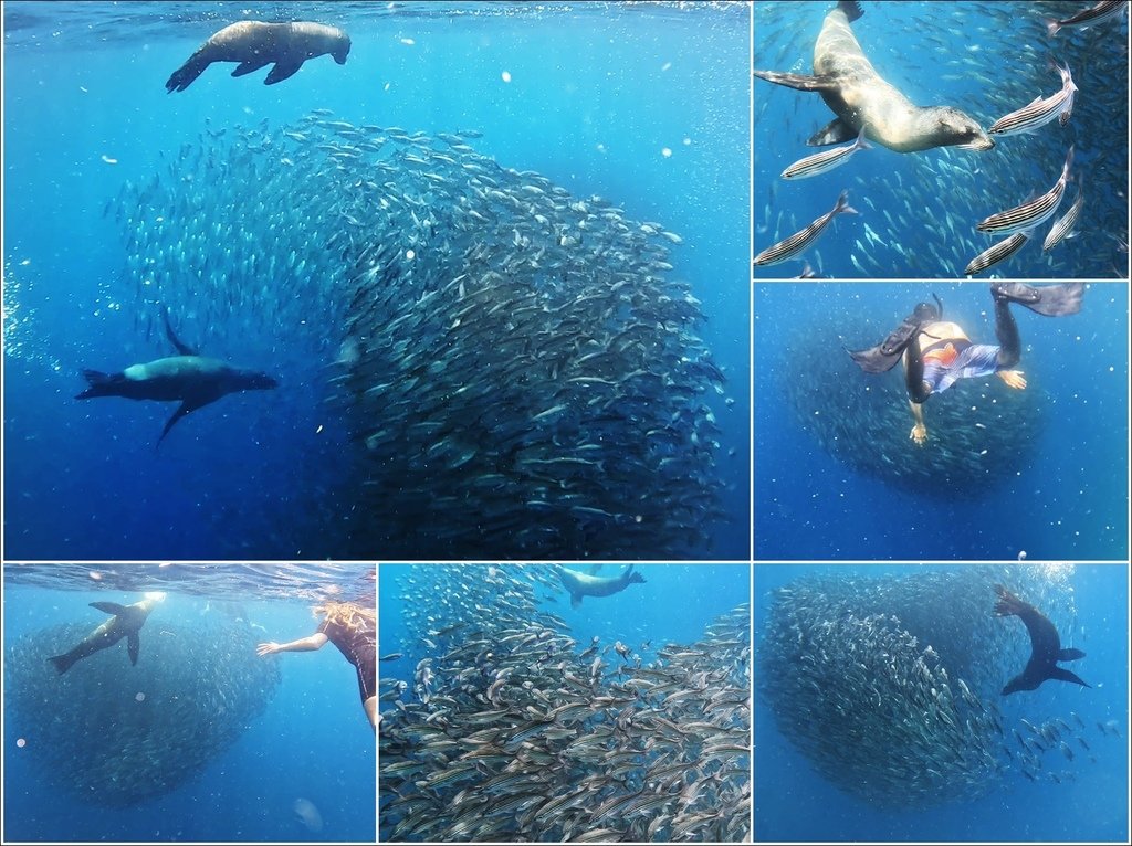 加拉巴哥群島Galapagos Islands - San