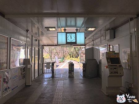 未命名-3.jpg