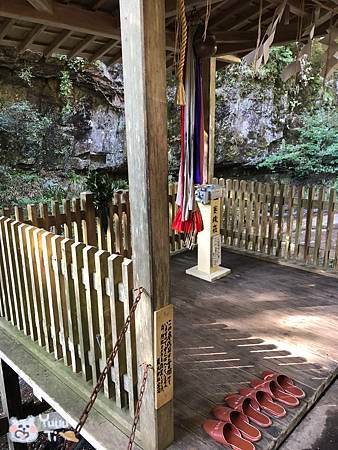 IMG_0477.jpg