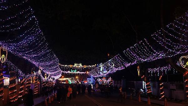 DSC09903