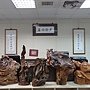DSC00157.JPG