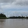 Sukau to BNL by boat 068.JPG
