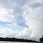Sukau to Abai by boat 081.JPG