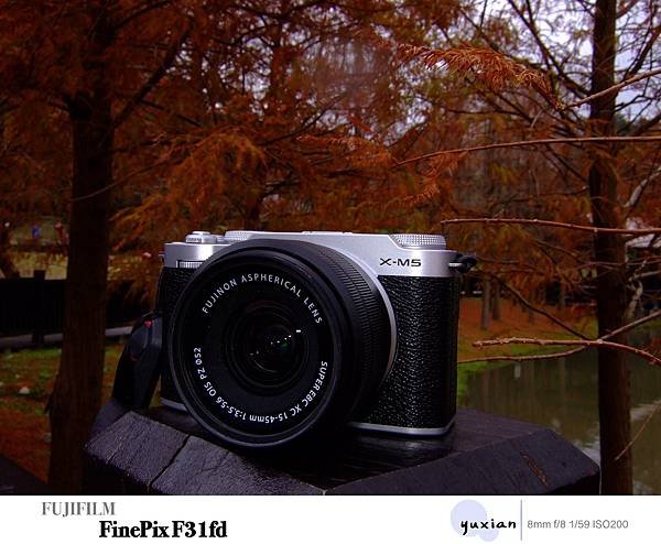 Fujifilm F31FD CCD 相機 開箱｜富士CCD