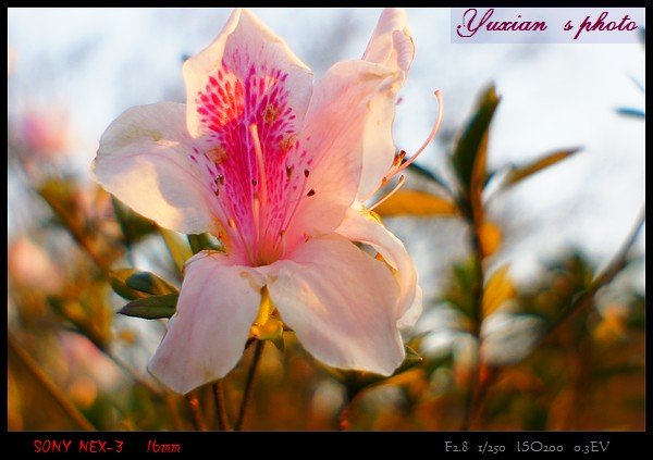 DSC02875.jpg