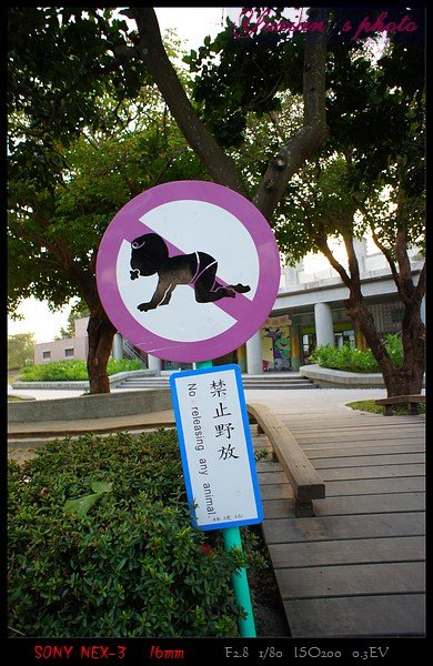 DSC02825.jpg