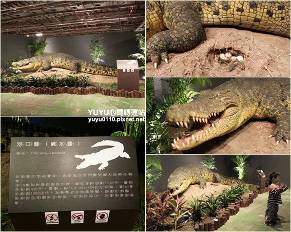 白堊紀恐龍特展19