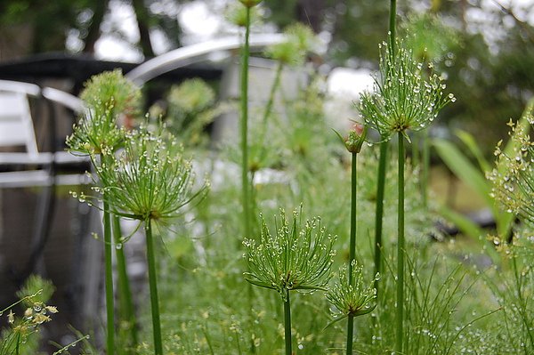 花蓮慢活遊 058.jpg