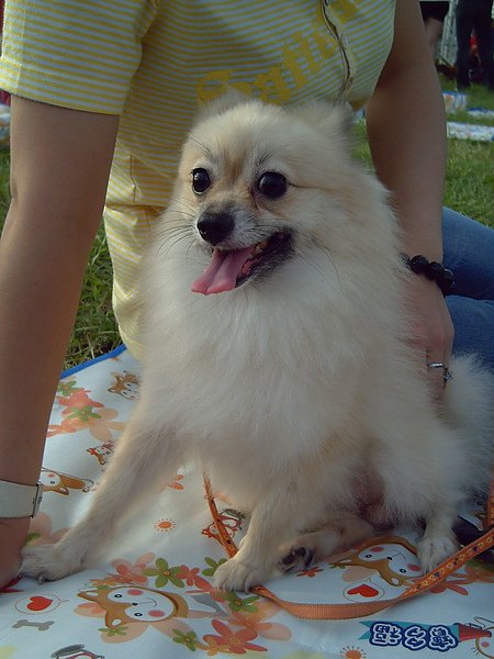 PICT0121.JPG