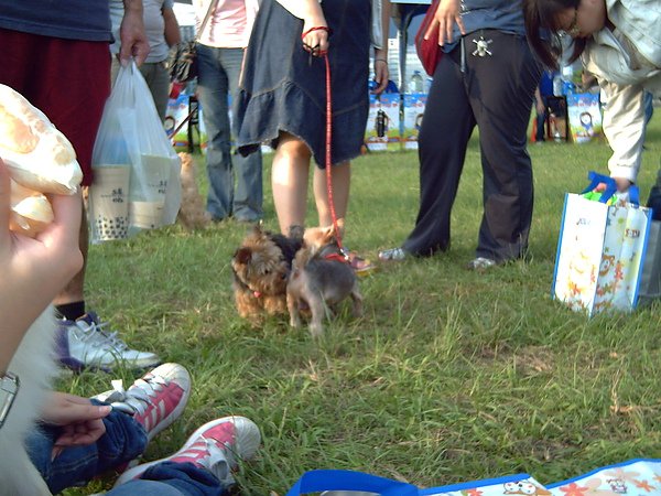 PICT0138.JPG
